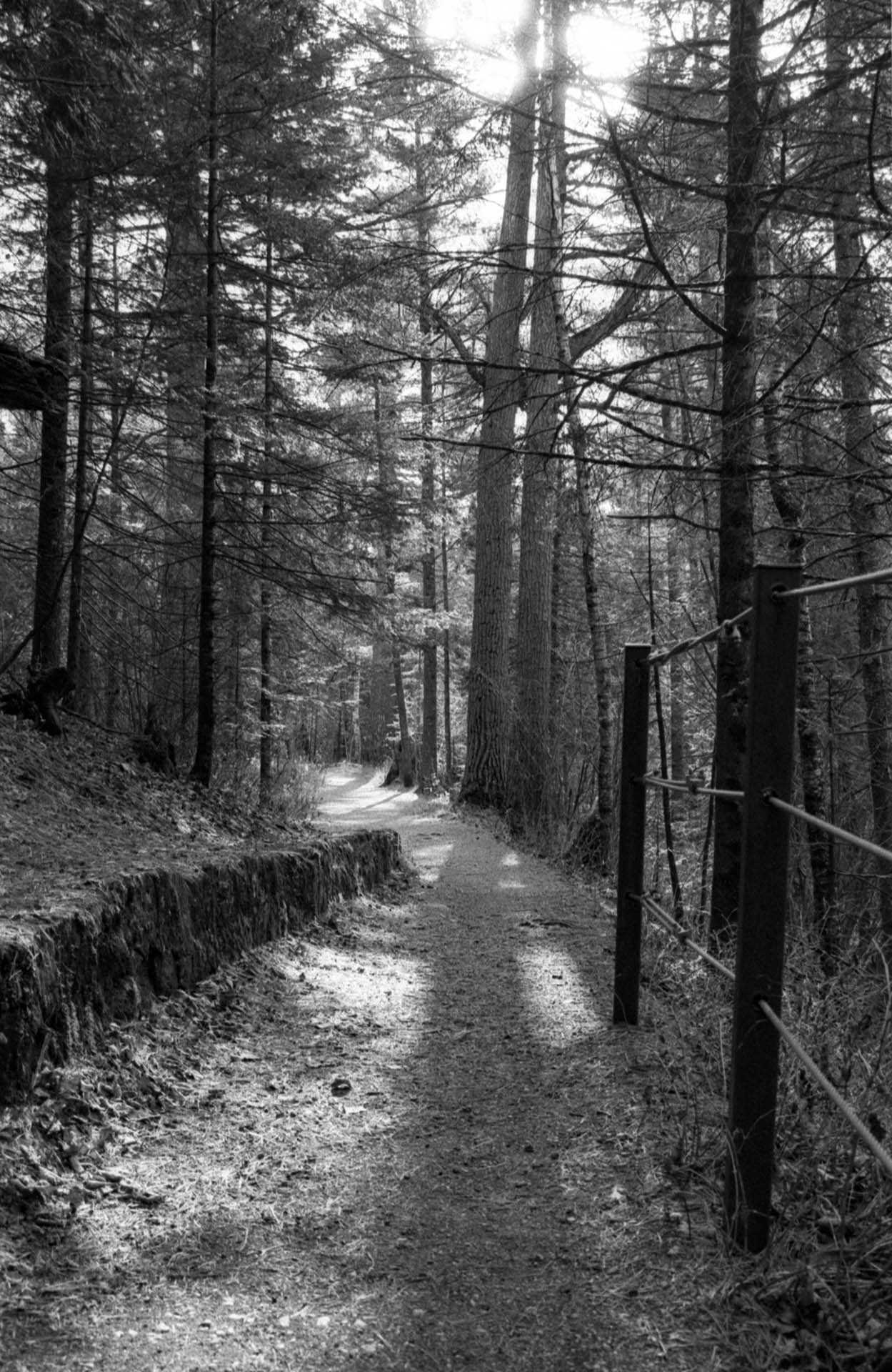 Velander_002_1 Velander_002_1
