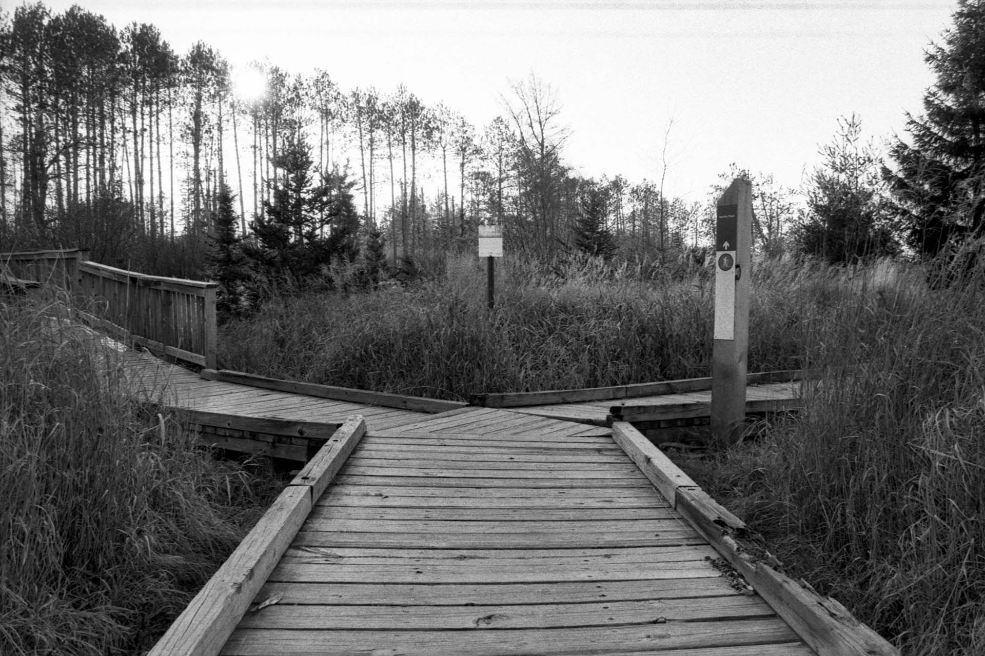 Velander_025_1 Velander_025_1