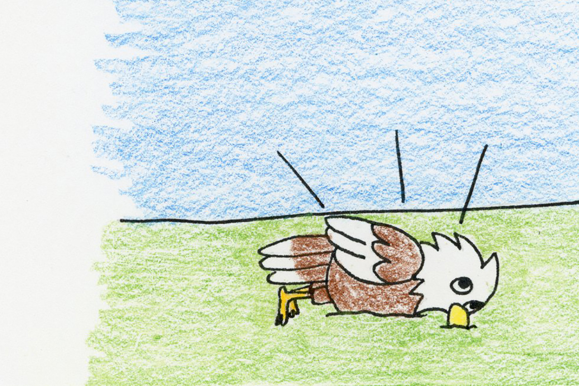 The Fall Before the Flight