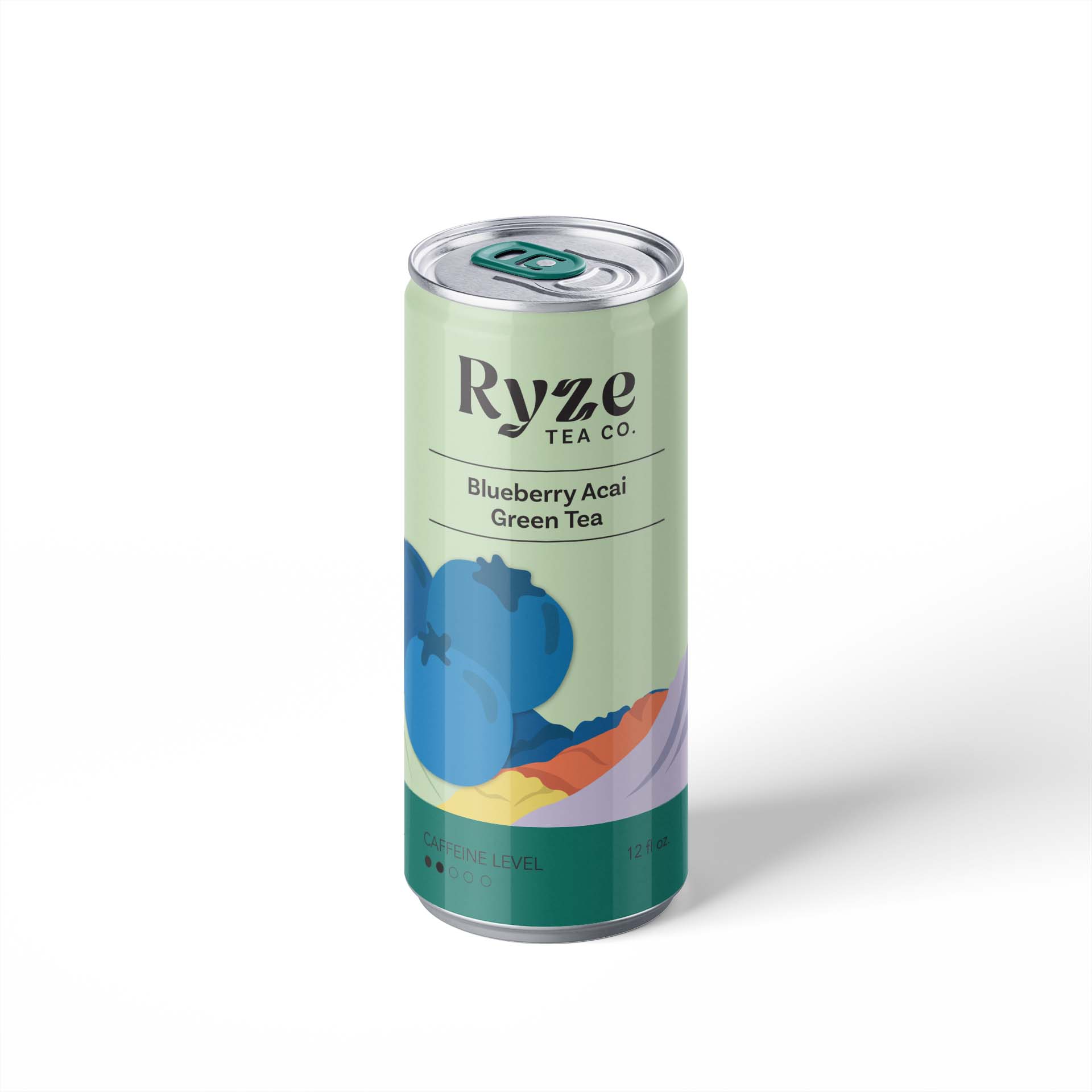 Blueberry single can Blueberry single can
