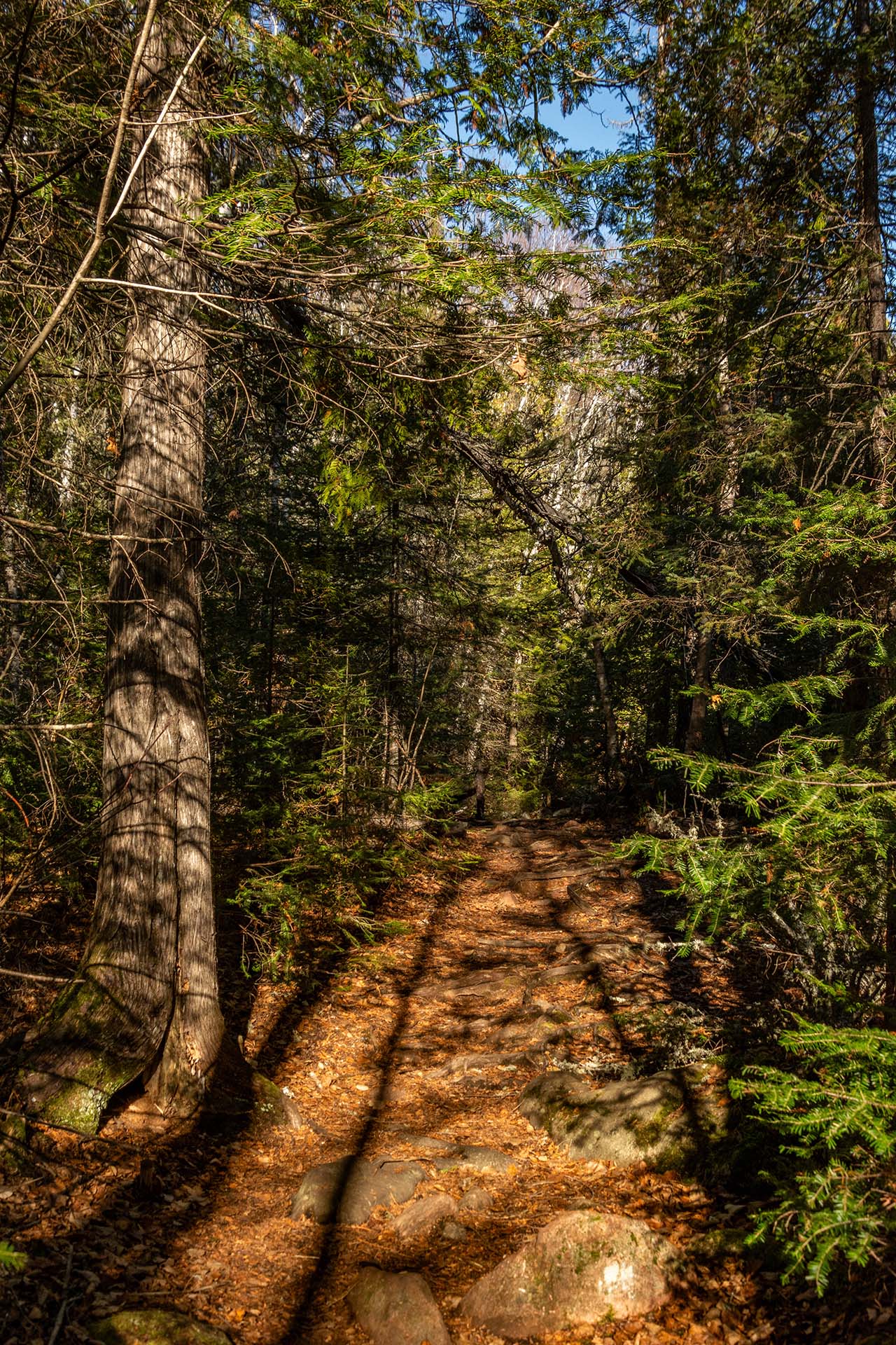DSC_0110_1 DSC_0110_1