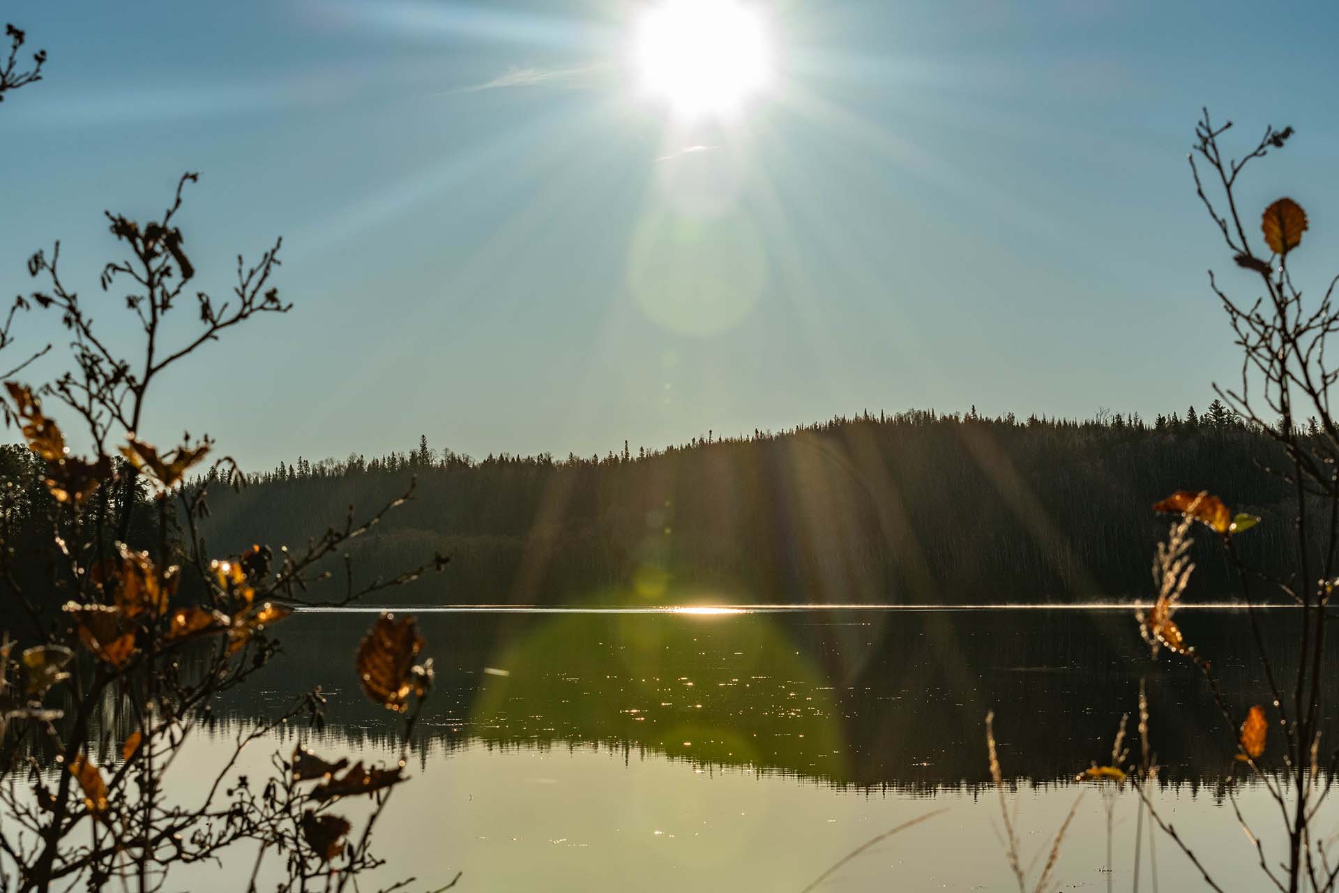 DSC_0878_1 DSC_0878_1