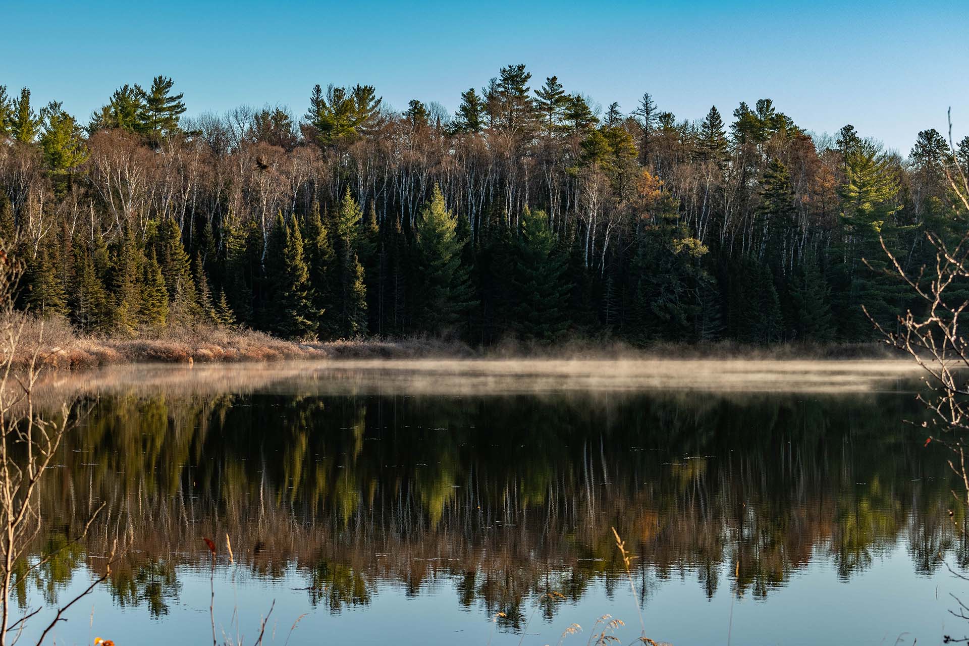 DSC_0886_1 DSC_0886_1