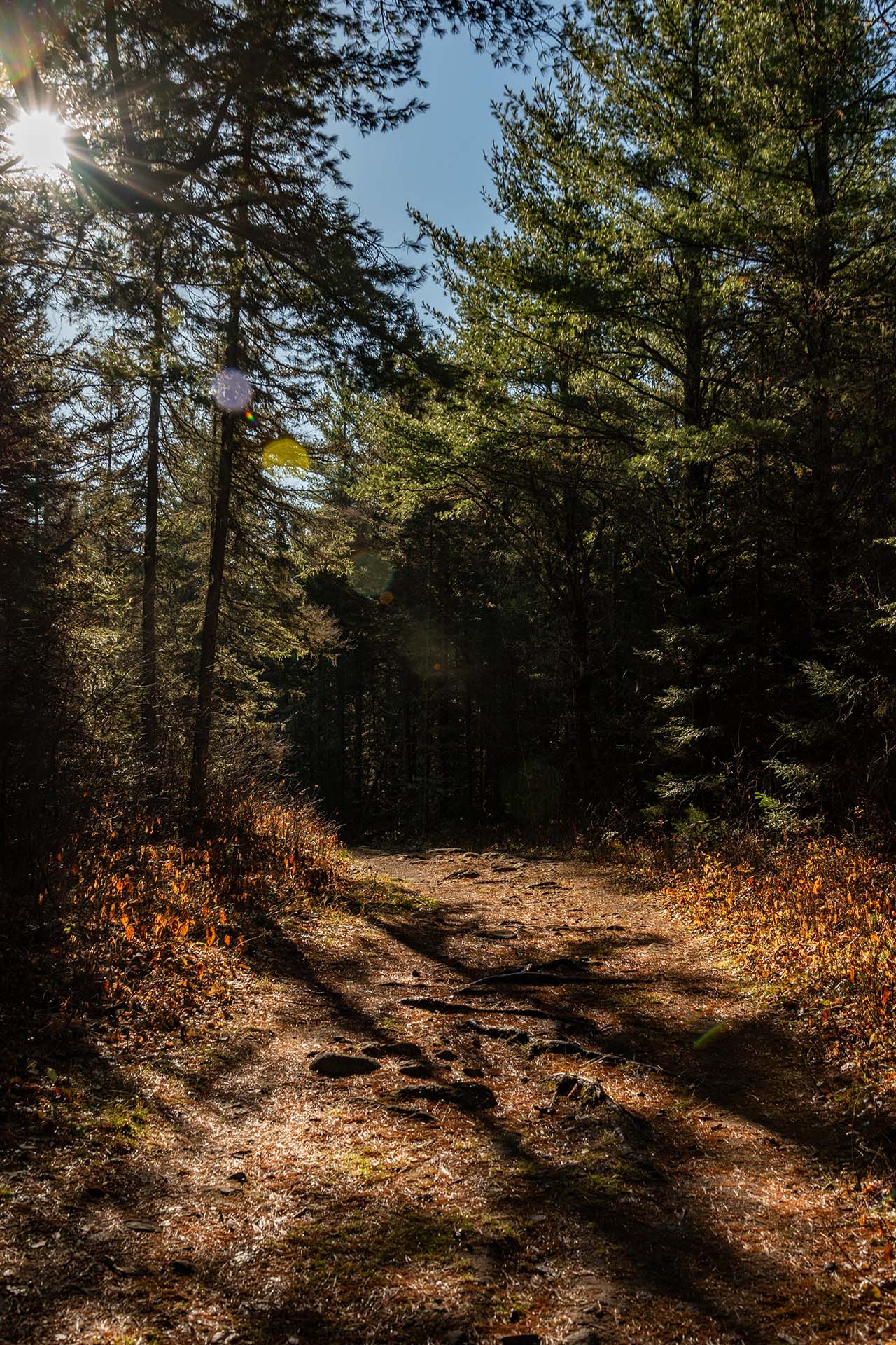 DSC_0940 DSC_0940
